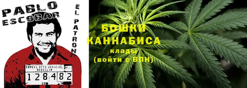 наркота  Рыбинск  Бошки Шишки Ganja 